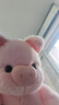 MAILE KID会跑步的小猪玩偶公仔抱枕娃娃毛绒男女孩玩具生日礼物 实拍图