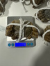 【活蟹】湖中秋色六月黄大闸蟹2.0-2.3两8只去绳螃蟹鲜活海鲜生鲜水产送礼盒源头直发 实拍图
