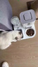 甜浪海自动喂食器猫碗猫咪饮水机狗狗吃饭喝水大容量投食器宠物粮食盆 实拍图