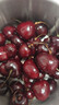 田良季智利进口车厘子【JD/顺丰-多地次日达】4J级大樱桃水果送礼品物盒 3斤(净重) 礼箱装【很划算】 超级巨无霸 4J 32-34mm丨蕞大蕞甜 实拍图