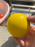 宜特（EETOYS）橡胶实心球黄色狗狗玩具磨牙耐咬有弹力互动训练宠物用品 实拍图