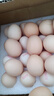 农家散养谷物土鸡蛋50±5克/枚 15枚 实拍图