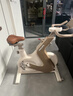 飞利浦家用动感单车智能磁控健身房器材减肥运动室内自行车小金鹿3102B1 实拍图