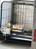 腆宠 狗笼 狗笼子大型犬中型犬小型犬带厕所加粗狗窝家用宠物笼子围栏 实拍图