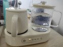 全玻璃养生壶煮茶双炉组合花茶套装电煮杯烧水壶一体多功能迷你炖煮壶小型恒温壶节日礼品伴手礼 0.8L 高端伴手礼/鸳鸯壶/礼盒装 实拍图