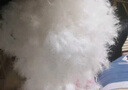 VA散装羽绒95大朵白鹅绒原料一斤装国标被90白鸭绒服填充物鹅吊吊绒 99顶级5A大朵精品鹅绒 （精洗+烘干) 500g（一斤价格） 实拍图