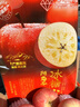 阿克苏苹果 新疆阿克苏冰糖心苹果【闪送】新鲜丑水果礼盒圣诞节苹果礼物 【热销-精品大果】单果75-80mm｜冰糖甜 净重5斤装【超值推荐-80%选择*】 实拍图