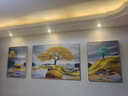 诗六艺家饰客厅装饰画现代简约大气晶瓷墙壁壁画轻奢高级感沙发背景墙挂画 发财有鹿（铝合金外框） 左右60*80中间120*80cm 镶钻画 实拍图