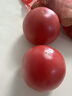 童年味道西红柿约1kg 实拍图