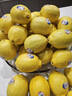 优味集进口新奇士柠檬【JD顺丰现货速发】新鲜南非黄柠檬生鲜水果整箱 1斤净重 商超级大果（单果120g+） 实拍图