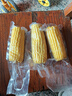 当季新货头茬东北黄甜糯玉米棒真空包装低脂黄糯大棒甜东北黏苞米 黄糯玉米【120-160克】3根 实拍图