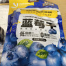 三只松鼠每日蓝莓干500g 蜜饯果干酸甜休闲零食下午茶孕妇儿童健康零食 实拍图