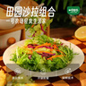 一号农场即食蔬菜沙拉田园风情120g*3益生菌羽衣甘蓝沙拉酱280g*1源头直发 实拍图