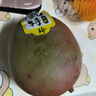 百橙恋四川攀枝花凯特芒果 新鲜大果当季时令生鲜芒果年货送礼整箱水果 8斤大果【礼盒装】 实拍图
