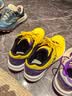 尤尼克斯（YONEX）羽毛球鞋yy入门级训练减震动力垫男女SHB101CR紫黄45码 实拍图
