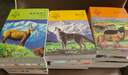 动物小说大王沈石溪品藏书系（升级版套装共36册）儿童故事书课外阅读正版套装 实拍图