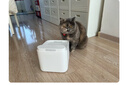 米家智能宠物饮水机2 小米猫咪宠物饮水机滤芯套装 四重过滤 净水软水 实拍图