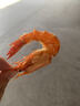 九节虾干即食烤虾干海鲜干货深海大虾 零食对虾烤虾干净重 虾干100克（约80只） 实拍图