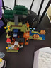 乐高（LEGO）积木拼装我的世界21269 犰狳矿洞探险男孩女孩儿童玩具圣诞礼物 实拍图