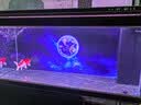 森森超白鱼缸水族箱客厅大型底滤专业龙鱼缸智能生态懒人鱼缸 经典黑 专业款 长151x宽61x高163cm（5代水槽） 实拍图