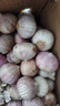 志褚独头蒜大蒜头 2024云南大理紫皮独蒜 精品新鲜现挖湿蒜 5斤装【特大果3.5cm以上】 实拍图