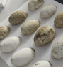 百世富泽（BAISHIFUZE）【百世富泽】黄河滩大鹅蛋新鲜正宗土鹅蛋农家自养孕妇超大鹅蛋 12枚115-130克 实拍图
