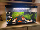 米家（MIJIA）小米米家智能生态鱼缸还原自然生态补仓一次三月无忧出差旅行必备 实拍图