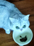 licheers猫碗陶瓷狗猫食盆宠物猫粮喝水高脚斜口防打翻喂食碗护颈猫咪用品 实拍图