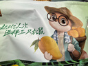 三只松鼠芒果干500g/袋 休闲零食水果干蜜饯果脯娱乐办公室小吃量贩装 实拍图