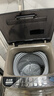 志高（CHIGO）全自动洗衣机 家用小型波轮 洗脱一体机大容量 公寓宿舍出租房 10KG咖啡金【蓝光洗护+风干洁桶+强电机】 实拍图