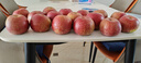 山姆大叔 丑苹果昭通苹果冰糖级【多地次日达】苹果水果礼盒圣诞节礼物 【金标·稀缺果王】单果80-90mm｜甜度翻倍 10斤装【高山老树果-更脆甜】净8 实拍图