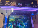 吉印刀锋z鱼缸灯增艳专用灯水族全光谱照明灯潜水蝴蝶鲤罗汉发色红灯 56cm鱼缸增艳灯【56-65cm缸】15W 实拍图