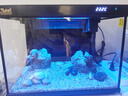 森森金麟超白玻璃鱼缸一体缸自循小型懒人家用水族箱LE-380 实拍图