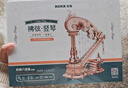 若客（ROKR）拂弦竖琴 八音盒音乐盒积木拼图diy木质拼装模型玩具新年生日礼物 实拍图