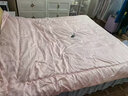 MDNG迪奥贡缎提花洋甘菊黄金蚕丝被A类被子桑蚕丝加厚保暖冬被芯 锦绣荣华-霜银灰[蚕丝被] 200x230cm[重约8斤+高档皮包] 实拍图