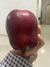 京鲜生 甘肃天水花牛苹果 又大又红 净重4斤装 单果200g起 新鲜水果  实拍图