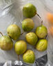 鲜青录广西黄金百香果钦蜜9号新鲜水果黄色白香果西番莲鸡蛋果 净重1斤（单果60-70g） 实拍图