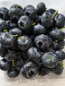 云南8分甜高山蓝莓125g(18mm) 实拍图