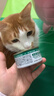 网易严选猫湿粮宠物零食浓汤大口肉罐头 鸡肉+三文鱼85g*3罐 实拍图