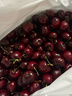 觅鲜探长智利进口车厘子大樱桃【多地次日达】新鲜水果可选礼盒装 2000g(净重) 精挑手选果 J 26-28mm带箱5斤 礼盒装 实拍图