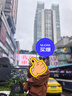 BOLON暴龙眼镜【父亲节礼物】百搭黑超墨镜男方框太阳镜女偏光镜BL3203 C20 玳瑁色-偏光 实拍图