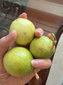 海南百香果广西百香果 变黄变皱皮更甜 泡水喝 生吃 调味新鲜水果 3粒百香果 实拍图