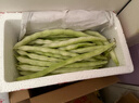 京鲜生云南新鲜豌豆荚净重2.5斤装白不老新鲜蔬菜源头直发包邮 实拍图