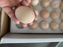 德青源A级鲜鸡蛋32枚2.74斤起无抗生素 谷物喂养  营养早餐家庭礼盒 实拍图