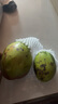 玖原农珍 四川攀枝花凯特芒果净果4.5-5斤优选芒果350g+ 当季新鲜水果 实拍图