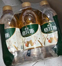 秋林格瓦斯 全麦面包发酵 0糖饮料 350ml*12瓶 整箱装哈尔滨特产 实拍图