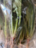大菠菜300g 实拍图