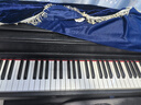 特伦斯电钢琴88键重锤专业电子钢琴成人儿童家用立式电钢E55 典雅黑色【演奏级】 实拍图