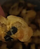北海印象干贝瑶柱淡干海鲜海产干货扇贝肉煲汤煮粥送礼送父母长辈送礼礼品 干贝瑶柱裙边 500g * 1袋 实拍图