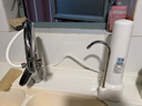 道尔顿（Doulton）净水器家用直饮 厨房自来水龙头过滤器矽藻陶瓷净水机超滤不用电无废水台上式 D-CP101 实拍图